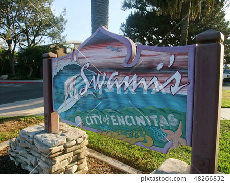 San Diego Swami's beach 48266832