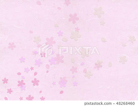 Cherry blossom snow background material 48268460
