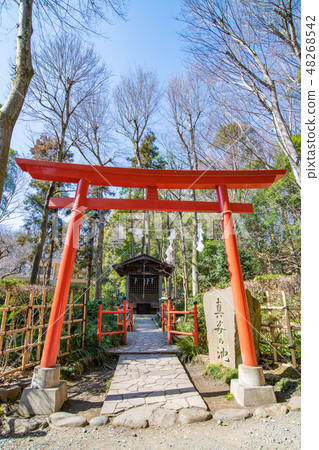 Kokubunji Shin Kimono Ikemasa Benzaiten Kokubunji Shin Kimono Ikemasa Benzaiten 48268542