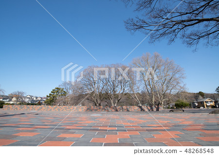 國分寺市歷史遺址武藏國分寺遺址 48268548