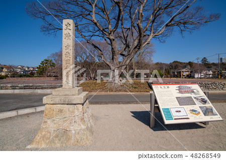 Kokubunji city historic site Musashi Kokubunji site Kokubunji city historic site Musashi Kokubunji site 48268549