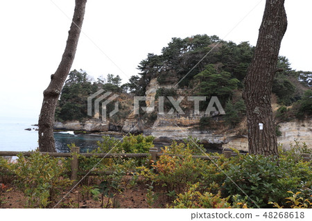 Sea cliff at the Goro Coast Sea cliff at the Goro Coast 48268618
