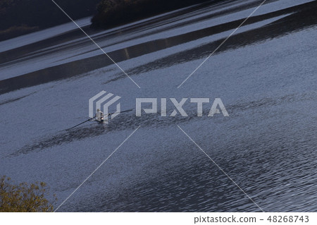 津津河，河流，富山，水，秋天 48268743