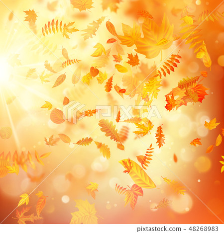 Autumn background with natural leaves and bright sunlight. EPS 10 Autumn background with natural leaves and bright sunlight. EPS 10 48268983