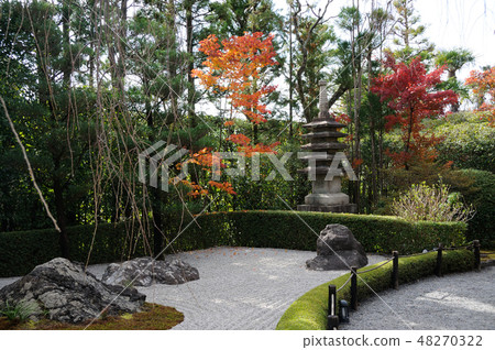 Myoshinji寺的陽光花園 Myoshinji寺的陽光花園 48270322
