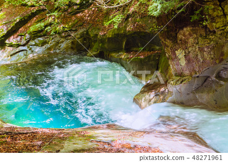 Clear stream of Nishizawa Valley [Yamanashi Prefecture] 48271961