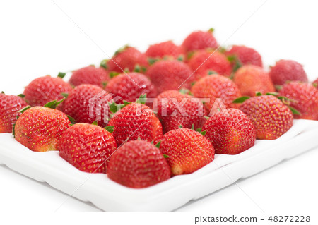 Premium Strawberry in polystyrene foam tray Premium Strawberry in polystyrene foam tray 48272228