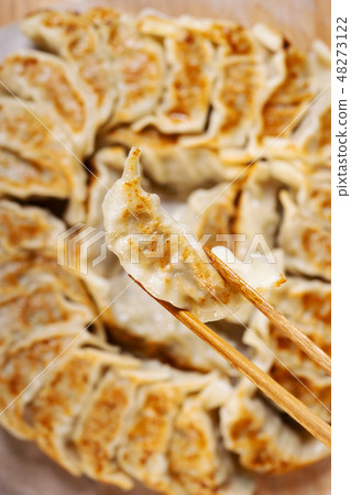 Japanese dumplings with pork meat and vegetable  48273122