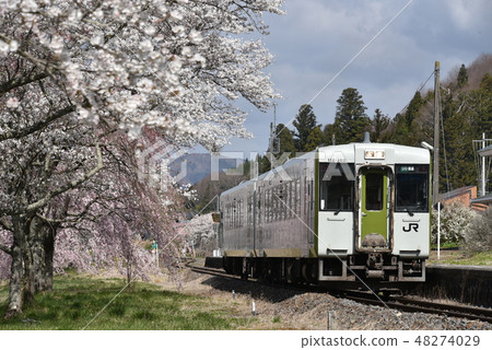 Cherry blossoms and train Cherry blossoms and train 48274029