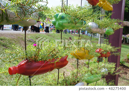 Flower planted in recycling plastic bottle  48275400