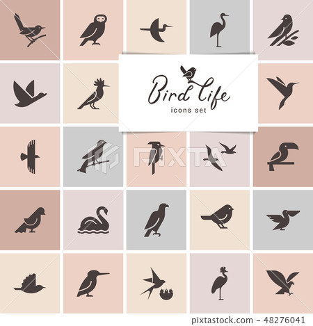 Birds icon set. Logotype or brand for company. 48276041