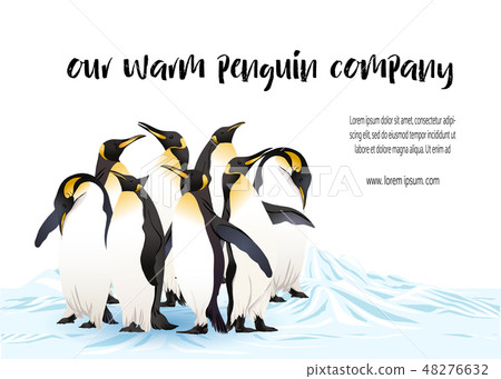 Emperor penguins family with slogan 48276632