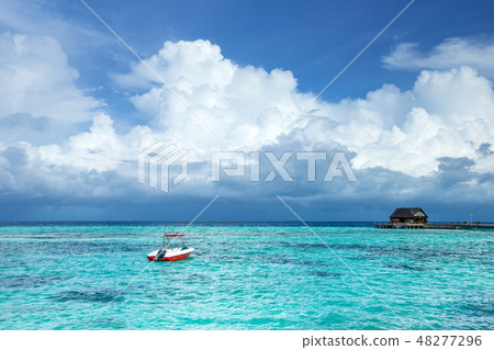 tropical beach in Maldives tropical beach in Maldives 48277296