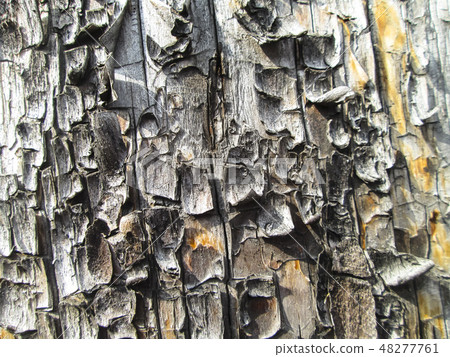 Wooden background 48277761