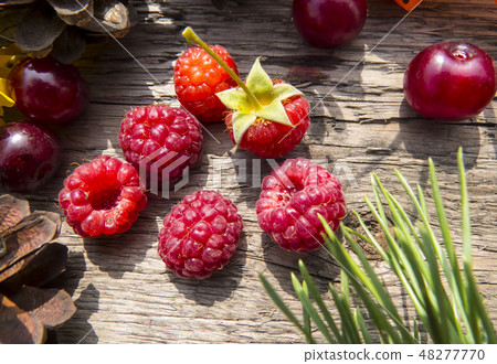 Wooden background Wooden background 48277770