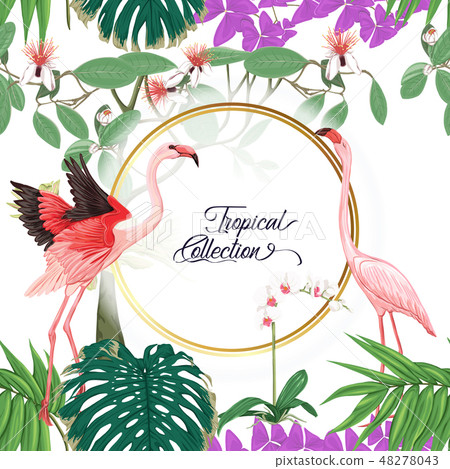 Template for invitation or banner  with tropica 48278043