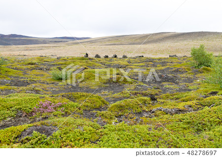 Iceland landscape near Hverfell volcano, Iceland Iceland landscape near Hverfell volcano, Iceland 48278697