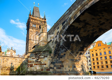 Charles bridge from below 48279260