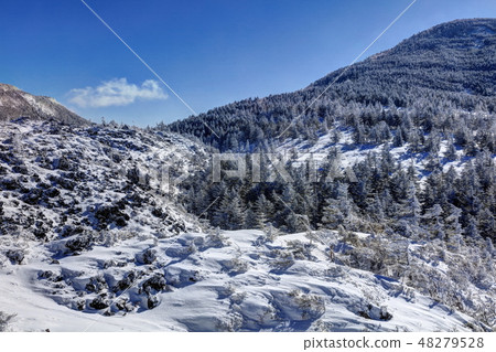 斯諾伊校長 斯諾伊校長 48279528