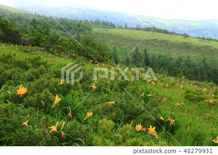 Northern Alps from Road to summer fold to Tarohei 48279931