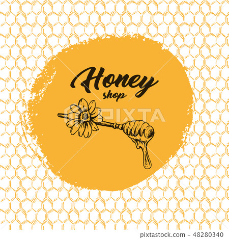Honey Bee, Sketch Logo Design with Honeycomb Pattern. Vintage hand drawn isolated illustration. 48280340