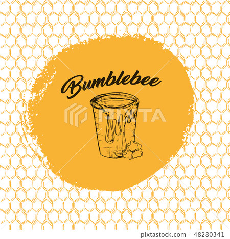 Honey Bee, Sketch Logo Design with Honeycomb Pattern. Vintage hand drawn isolated illustration. 48280341