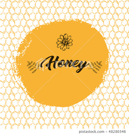 Honey Bee, Sketch Logo Design with Honeycomb Pattern. Vintage hand drawn isolated illustration. 48280346