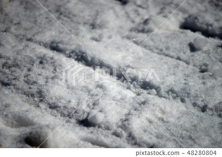 雪·車轍 雪·車轍 48280804