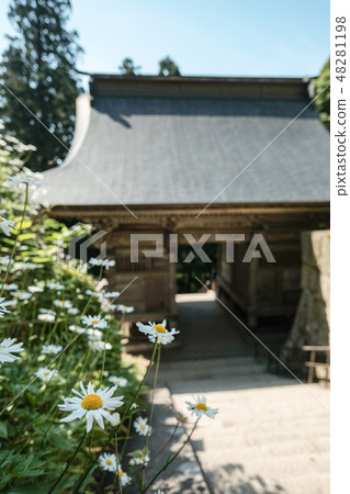 Yamadera (Tateishiji): Niimon Yamadera (Tateishiji): Niimon 48281198