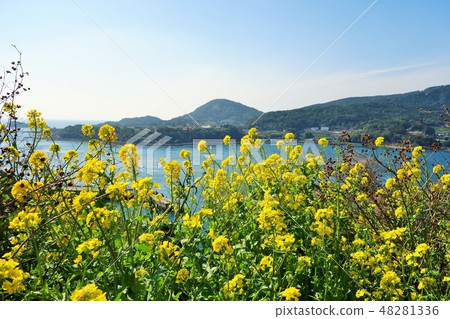 Black Seto Ohashi, scenery around the strait, Akune City, Nagashima Town, Kagoshima Prefecture 48281336