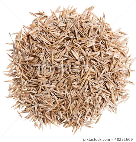 A heap of quality seeds of lawn grass, for your personal garden. Can be used for create perfect 48281609