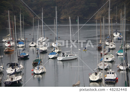 遊艇港 48282448