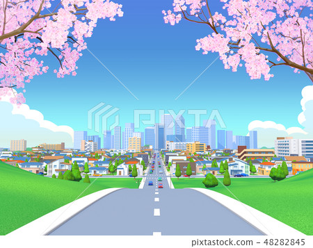 Sakurabachi Road Residential Area City Blue Sky Scenery 48282845