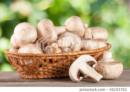 Champignon mushrooms in a wicker basket on wooden table with blurry garden background 48283762
