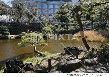Pines of Tokyo-Hibiya Park's Shinjuku Pond Pines of Tokyo-Hibiya Park's Shinjuku Pond 48283793