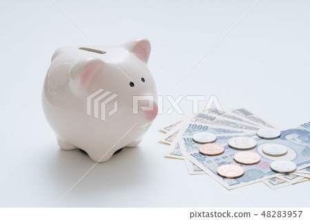 Piggy bank  48283957