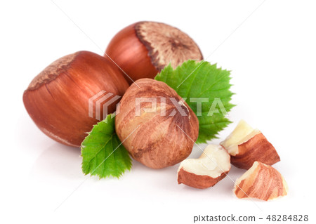 Hazelnuts with leaves isolated on white background Hazelnuts with leaves isolated on white background 48284828