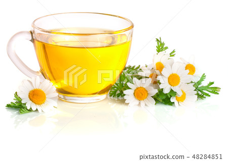 Herbal tea with fresh chamomile flowers isolated on white background 48284851