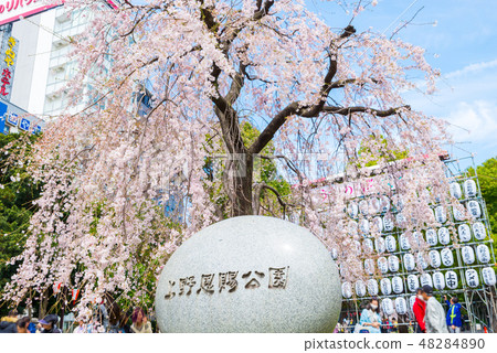 Ueno Imperial Park Spring (entrance in front of Ueno Park, Taito-ku, Tokyo) Photographed in March, 2018 48284890
