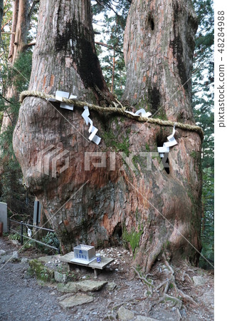 玉城神社 玉城神社 48284988