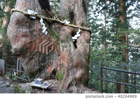 Tamaki shrine Tamaki shrine 48284989