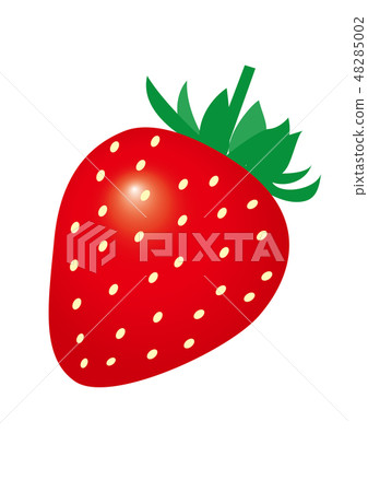 草莓 草莓 48285002