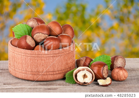 Hazelnuts with leaves in a wooden bowl on a wooden table with blurred garden background Hazelnuts with leaves in a wooden bowl on a wooden table with blurred garden background 48285023