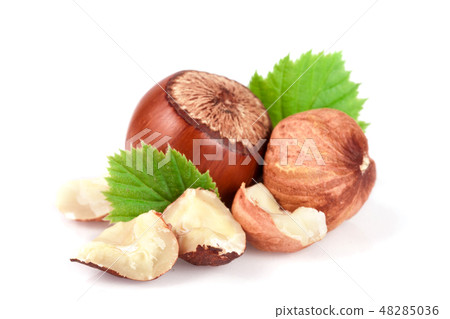 Hazelnuts with leaves isolated on white background 48285036