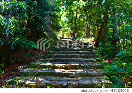 Daimonzaka Kumano Kodo 48285038