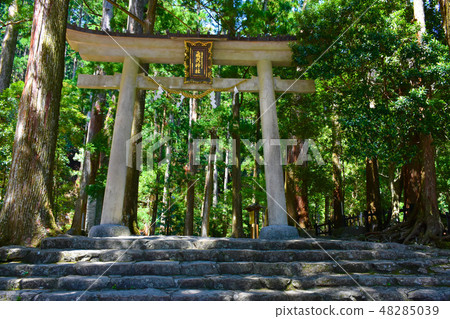 Nachi no Taki Satoru神社 Nachi no Taki Satoru神社 48285039