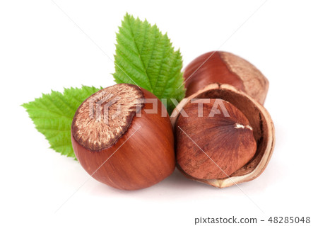 Hazelnuts with leaves isolated on white background 48285048