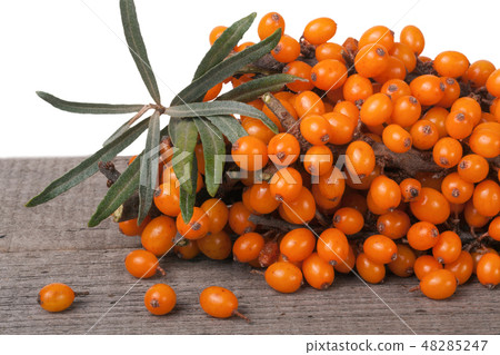 Sea buckthorn branch on a wooden table isolated white background Sea buckthorn branch on a wooden table isolated white background 48285247