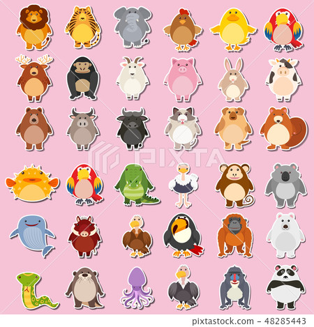 Mega animal sticker pack 48285443