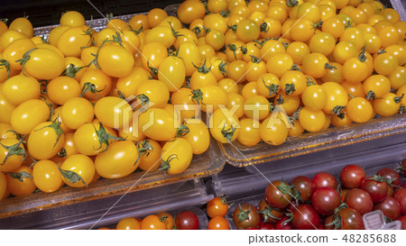 Mini Yellow Tomato 48285688